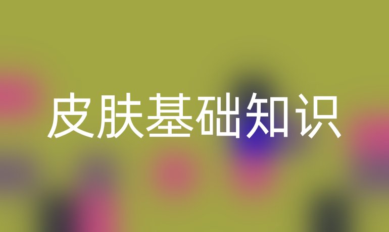 皮肤基础知识