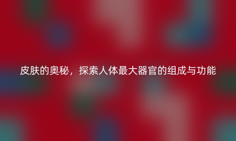 皮肤的奥秘，探索人体最大器官的组成与功能