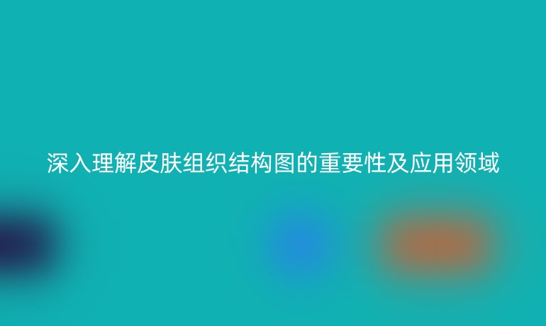 深入理解皮肤组织结构图的重要性及应用领域