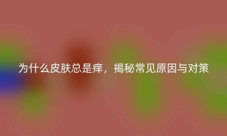 为什么皮肤总是痒，揭秘常见原因与对策