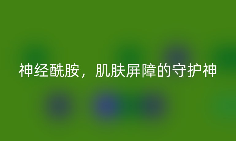 神经酰胺，肌肤屏障的守护神