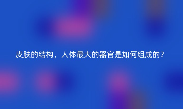 皮肤的结构，人体最大的器官是如何组成的？