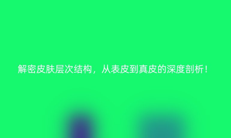 解密皮肤层次结构，从表皮到真皮的深度剖析！