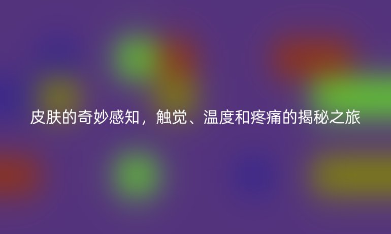 皮肤的奇妙感知，触觉、温度和疼痛的揭秘之旅