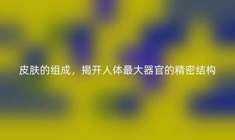 皮肤的组成,揭开人体最大器官的精密结构