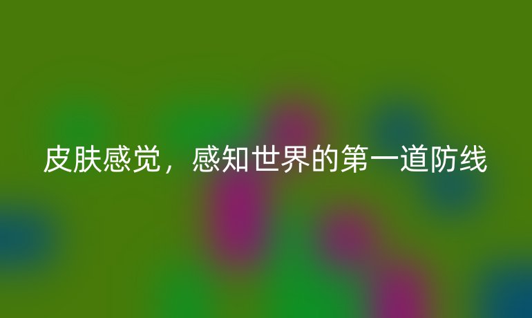 皮肤感觉，感知世界的第一道防线