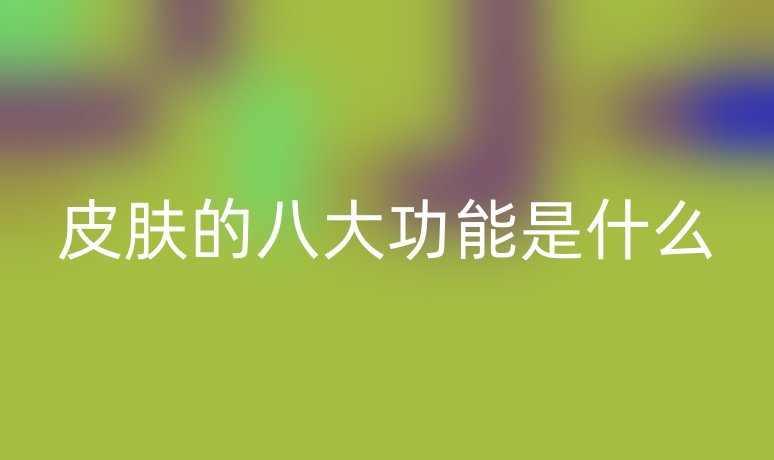 皮肤的八大功能是什么