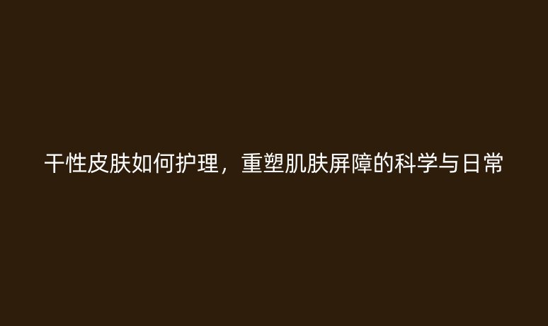 干性皮肤如何护理,重塑肌肤屏障的科学与日常